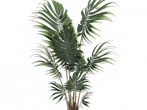 decorative palm in a white flowerpot 519 3D Model