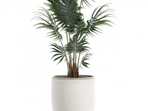 decorative palm in a white flowerpot 519 3D Model