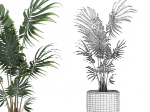 decorative palm in a white flowerpot 519 3D Model