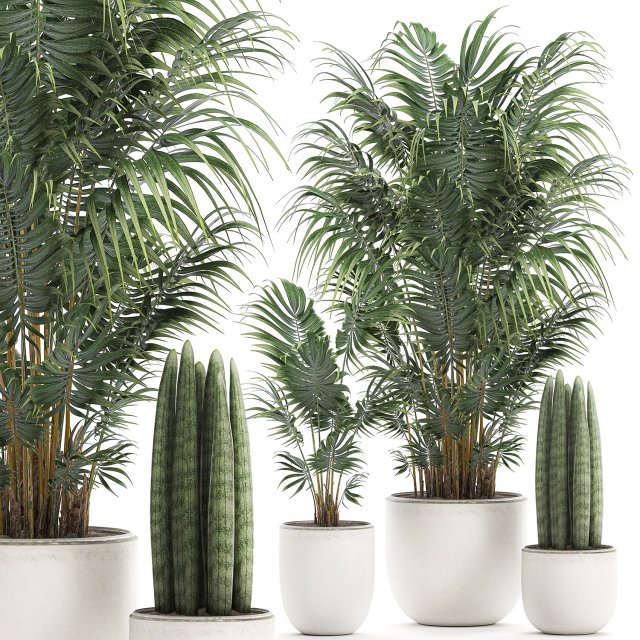 decorative palm in a white flowerpot 520 Modello 3D .c4d .max .obj .3ds .fbx .stl .blend 