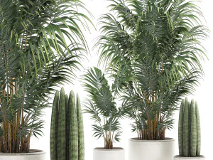 palmeira decorativa em vaso branco 520 Modelo 3D