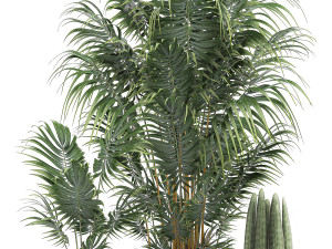 decorative palm in a white flowerpot 520 Modello 3D