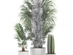 decorative palm in a white flowerpot 520 Modello 3D