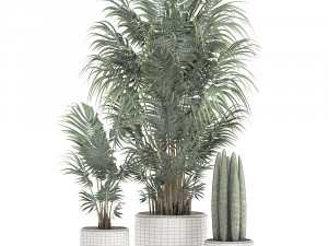 decorative palm in a white flowerpot 520 Modello 3D