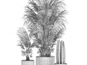decorative palm in a white flowerpot 520 Modello 3D