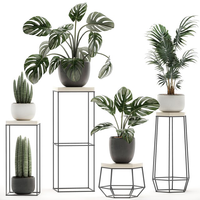 decorative plants in pots on a stand for the interior 523 3D-Modell .c4d .max .obj .3ds .fbx .stl .blend 