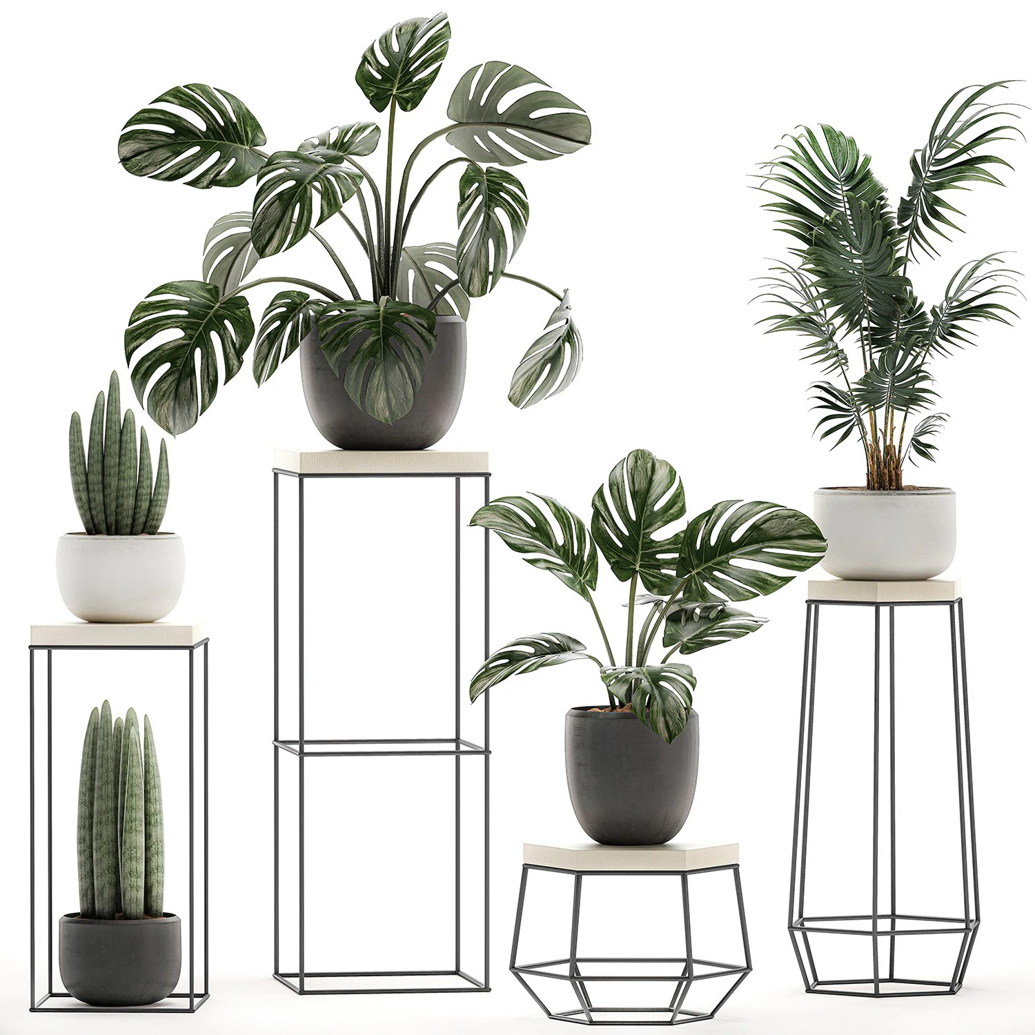 decorative plants in pots on a stand for the interior 523 3D Model .c4d .max .obj .3ds .fbx .stl .blend 