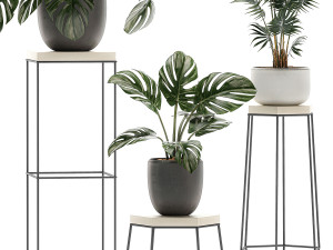 decorative plants in pots on a stand for the interior 523 3D-Modell