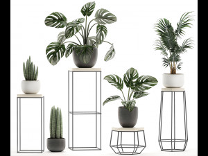 decorative plants in pots on a stand for the interior 523 3D-Modell