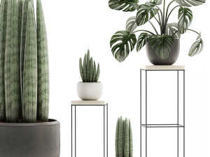 decorative plants in pots on a stand for the interior 523 3D-Modell