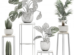 decorative plants in pots on a stand for the interior 523 3D-Modell