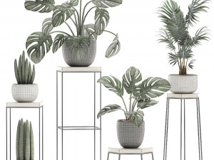 decorative plants in pots on a stand for the interior 523 3D-Modell