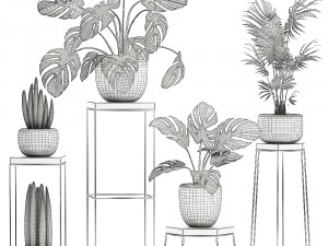 decorative plants in pots on a stand for the interior 523 3D-Modell