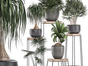 decorative plants in pots on a stand for the interior 525 3D Model