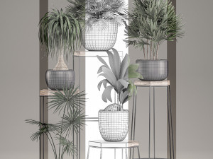 decorative plants in pots on a stand for the interior 525 3D Модель