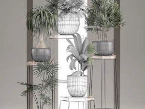 decorative plants in pots on a stand for the interior 525 3D Model