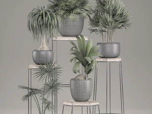 decorative plants in pots on a stand for the interior 525 3D Model