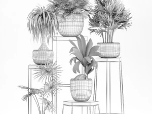 decorative plants in pots on a stand for the interior 525 3D Model