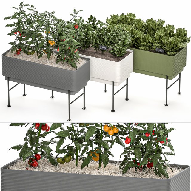 home mini-garden in a pot in the kitchen 526 3D Model .c4d .max .obj .3ds .fbx .stl .blend 