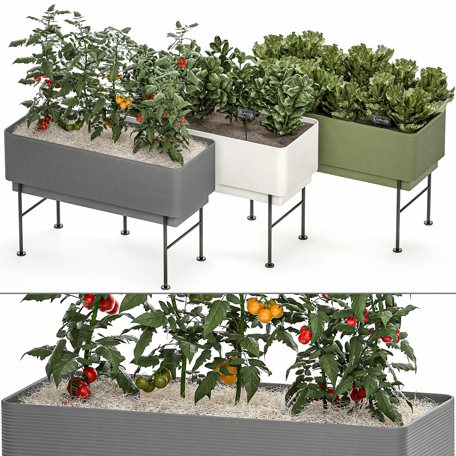 home mini-garden in a pot in the kitchen 526 3D Model .c4d .max .obj .3ds .fbx .stl .blend