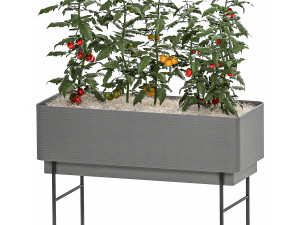 home mini-garden in a pot in the kitchen 526 3D Model