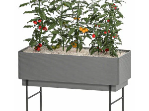 home mini-garden in a pot in the kitchen 526 3D Model