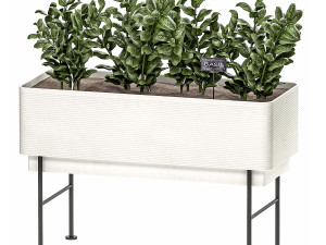 home mini-garden in a pot in the kitchen 526 3D Model