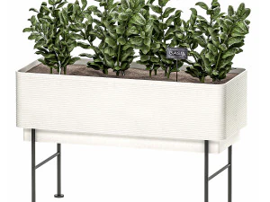 home mini-garden in a pot in the kitchen 526 3D Model