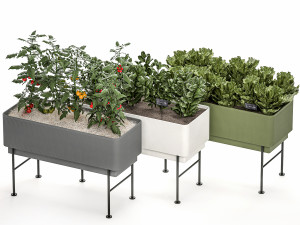 home mini-garden in a pot in the kitchen 526 3D Model