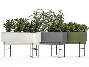 home mini-garden in a pot in the kitchen 526 3D Model
