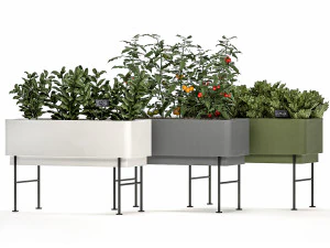 home mini-garden in a pot in the kitchen 526 3D Model