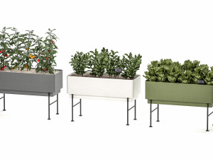 home mini-garden in a pot in the kitchen 526 3D Model