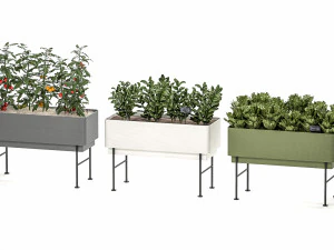 home mini-garden in a pot in the kitchen 526 3D Model