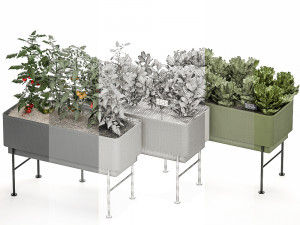 home mini-garden in a pot in the kitchen 526 3D Model
