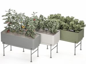 home mini-garden in a pot in the kitchen 526 3D Model