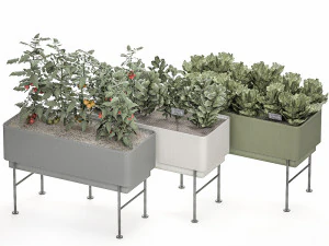 home mini-garden in a pot in the kitchen 526 3D Model