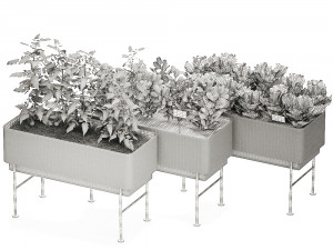 home mini-garden in a pot in the kitchen 526 3D Model