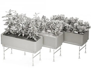 home mini-garden in a pot in the kitchen 526 3D Model