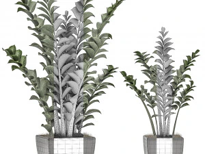 zamioculcas in pots on a stand for the interior 527 3D Model