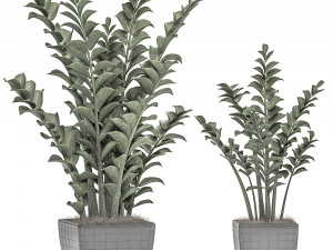 zamioculcas in pots on a stand for the interior 527 3D Model