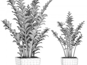 zamioculcas in pots on a stand for the interior 527 3D Model