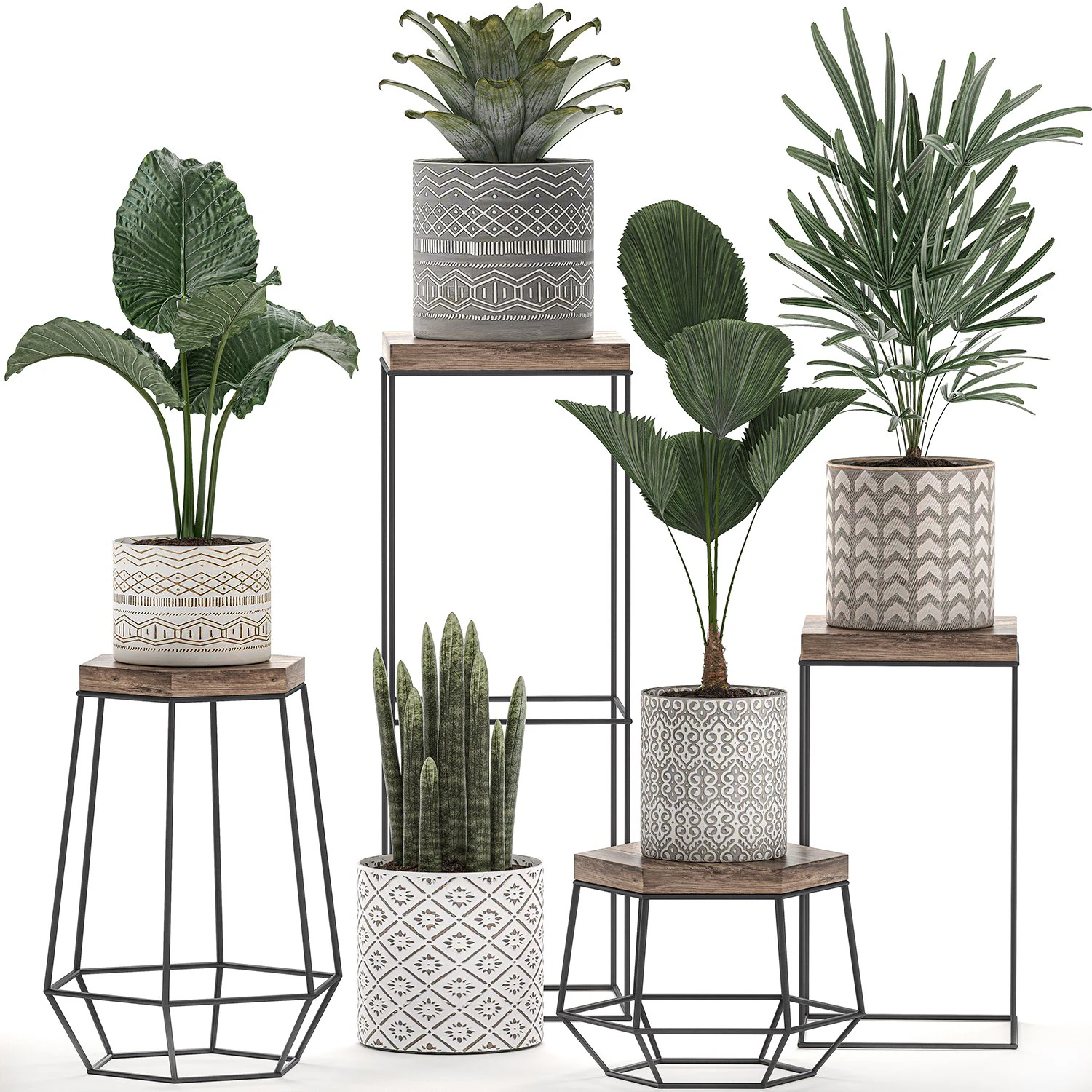 decorative plants in pots on a stand for the interior 528 3D Model .c4d .max .obj .3ds .fbx .stl .blend