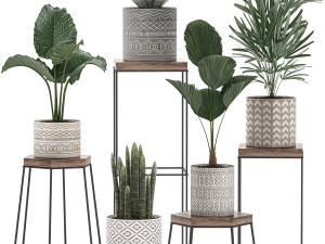 decorative plants in pots on a stand for the interior 528 3D Model