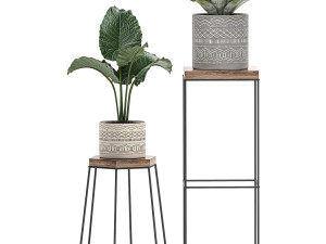decorative plants in pots on a stand for the interior 528 Model 3D