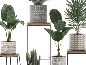 decorative plants in pots on a stand for the interior 528 3D Model