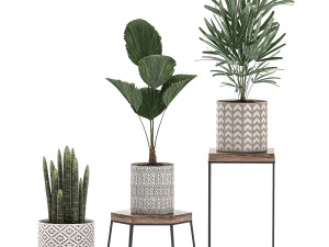 decorative plants in pots on a stand for the interior 528 3D Model