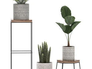 decorative plants in pots on a stand for the interior 528 3D Model