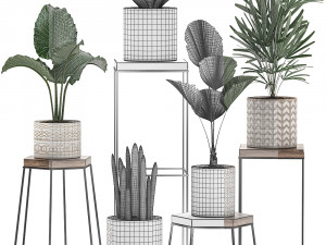 decorative plants in pots on a stand for the interior 528 Model 3D