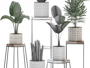 decorative plants in pots on a stand for the interior 528 3D Model