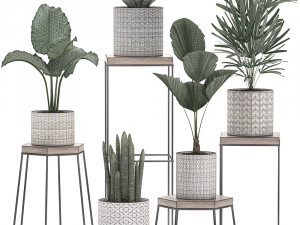decorative plants in pots on a stand for the interior 528 Model 3D